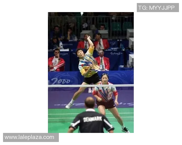 重庆羽毛球队包夹战术解析及其在羽毛球比赛中的应用与影响