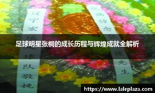 足球明星张桐的成长历程与辉煌成就全解析